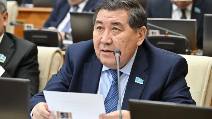 "Өз тілін өзгелерге тықпалау естінің ісі емес": Депутат басқалардан қазақ тілін талап ететіндерге кеңес айтты