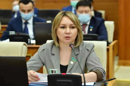 "Қазақша нұсқасын қараңыз": Депутат жаңа Конституция жобасында тегін медицина мен білім "жоғалып" кеткеніне қатысты жауап берді