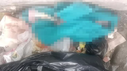 Семейде қоқыс жәшігінен жаңа туған сәбидің денесі табылды