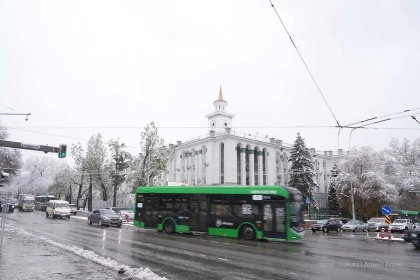 Алматыда қатты отынды пайдалануға қашан тыйым салынады