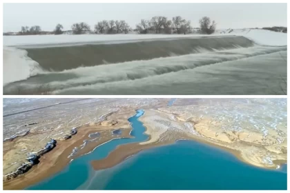 Аралға қайта жан бітті: Теңізге секундына 50 текше метр су келіп жатыр