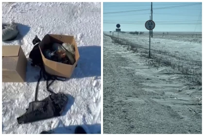 "Қорапқа салып, айдалаға лақтырып кеткен": Семейде қала шетінен 20-ға жуық мысық табылды (видео)