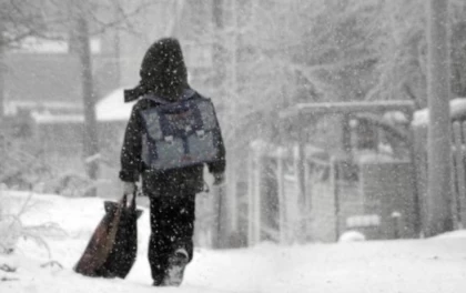 Қазақстанның бірнеше өңірінде мектеп оқушылары қашықтан оқуға көшірілді