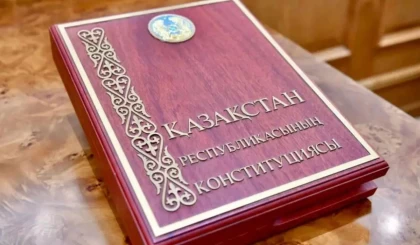 "Сұр кардиналдар" енді мемлекеттік институттарды алмастырмайды – Президент