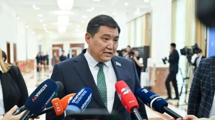 "Басшылықтың қас-қабағына қарайды": Депутат мемлекеттік қызметкерлерге билікке емес, халыққа қызмет ету керегін айтты