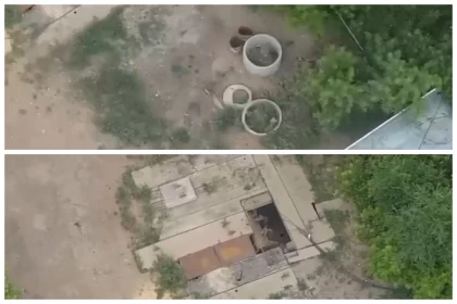 "Қағаз жүзінде бар, іс жүзінде жоқ": Көкшетауда абаттандыруға бөлінген 160 млн теңгеден аса қаржы жымқырылған