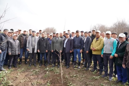 Жаңару күні Түркістан облысында "Мөлдір бұлақ" экологиялық акциясы өтті