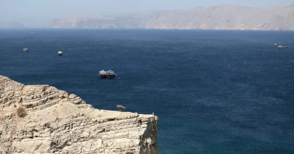 Иран бес елдің кемелеріне Ормуз бұғазы арқылы өтуге рұқсат берді