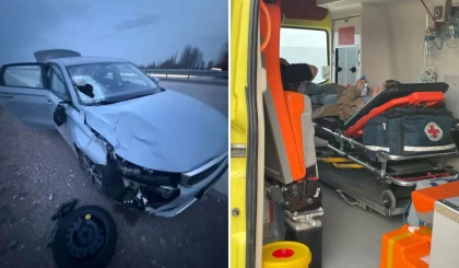Қазақстандық әйел ақылы жолда жылқы үйіріне соғылып, жол апатына түскен
