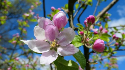 Қазақстандықтар мамырда жарты айға жуық демалады