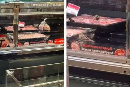 Астанадағы супермаркетте ет шоқыған торғайлар желі қолданушыларын шошытты (видео)