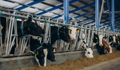 3 миллиард теңгенің мүлкі тәркіленді: Қостанайда субсидия арқылы ақша жымқырғандарға қатысты тың деректер жарияланды