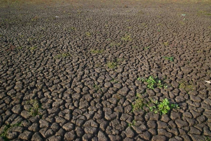 Оңтүстік өңірлерде су тапшылығы: Су ресурстары министрлігі қандай шара қабылданатынын айтты