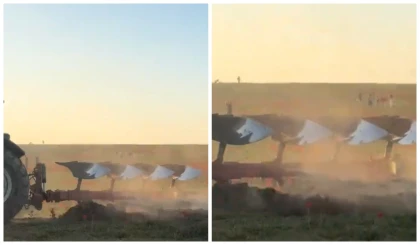 Түркістан облысында Қызыл кітапқа енген қызғалдақтар трактордың астында қалды (видео)