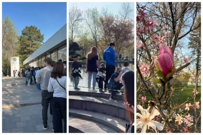 "Гүлдерді жұлып, аққуларға тиісіп, балықтарды таяқпен ұрған": Алматылықтар Ботаникалық бақтағы тәртіпсіздікке шағымданды