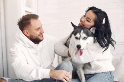 Қазақстанда ит асырайтындарға салық салу ұсынылды: Үкімет бастаманы тиімсіз деп тапты