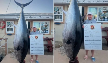 Балықшылар 400 келілік балықпен бес сағат айқасып, рекорд орнатты