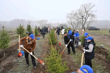 "Самұрық-Қазына" қоры өкілдері Семейде ағаш отырғызу шарасына қатысты