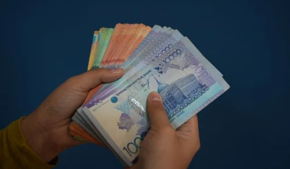 Микроқаржы ұйымдары табысын жасырып, миллиардтаған салықтан жалтарған