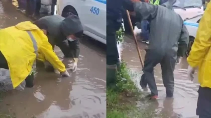 Алматыда ер адам жаңбыр суы толған арыққа құлап мерт болды