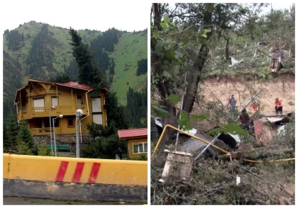 "70 мың ағаш құрып кетті": Алматыдағы 15 жыл бұрынғы жойқын дауыл салдары қандай қауіпке әкелді