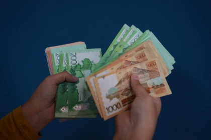 Қазақстанда депутаттарға арналған төлемдер енгізілмек