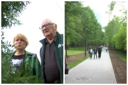 Алматыда ағаштардың биіктігі шектелмек: Шенділердің бұл ұсынысы тұрғындарды алаңдатты