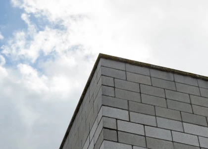 Астанада сүйіктісімен жанжалдасқан ер адам мас күйде тұрғын үй шатырына шығып жұртты шошытқан