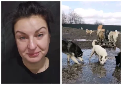 "Біз енді қайда барамыз?”: Алматылық 700-ден астам жануарды асырап отырған жерін мемлекет тартып алғанын айтты