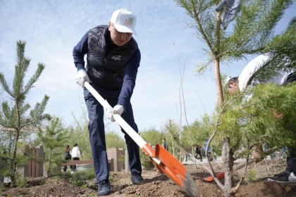Ұлытау облысында экологиялық акция: Бір күнде 1550 түп ағаш егілді