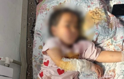 Түркістан облысында 4 жасар қызды шибөрі талаған