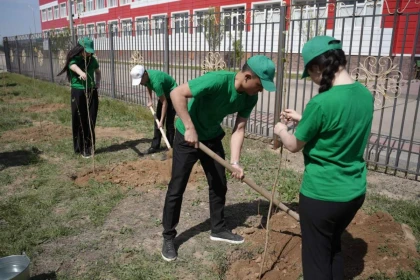 "Таза Қазақстан": Ұлытауда "Түлектердің ағаш отырғызу" эко-челленджі өтті