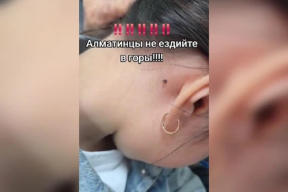 Алматылықтар таудағы кененің көптігін айтып шағымданды