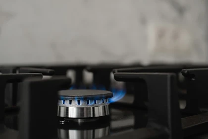 Газ бақылауға алынады: Мәжіліс газды үнемдеп тұтыну туралы заң жобасын қабылдады