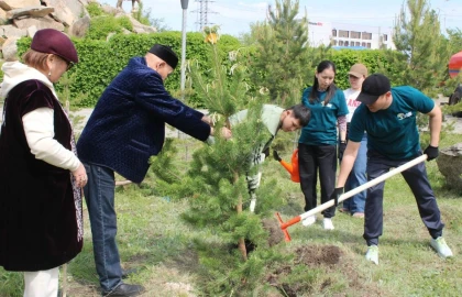 Ақмолада Отбасы күніне орай "Отбасы ағашы" акциясы аясында 55 ағаш отырғызылды