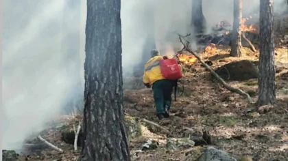 Бурабайда найзағайдың кесірінен екі өрт шықты