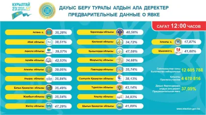 Құрылтай депутатын сайлау: Қай аймақ дауыс беру көрсеткіші бойынша көш бастады