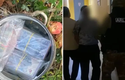 Павлодарда ағаштың түбіне жасырылған қазанның ішінен 24 миллион теңге табылды (видео)
