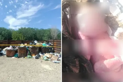 Жамбыл облысында жаңа туған сәбиін қоқыс жәшігіне тастап кеткен әйел ұсталды