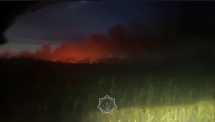 Алматы облысында құрғақ шөп пен қамыс өртенді: Аймақта арнайы штаб құрылды