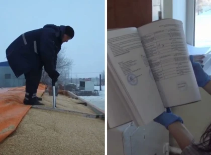 Шетелден әкелінген астықты қазақстандық өнім ретінде көрсеткен: Алыпсатарлар мемлекетке 1,2 млрд теңге шығын келтірді