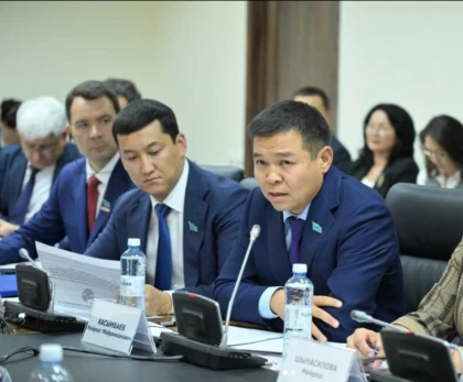 Қазақстандық депутат ауылдық жерде 85 мың айлықпен-ақ өмір сүруге болатынын мәлімдеді