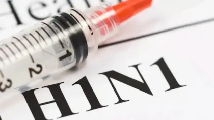 Шошқа тұмауы адамға несімен қауіпті және жұқтырған жағдайда не істеу керек