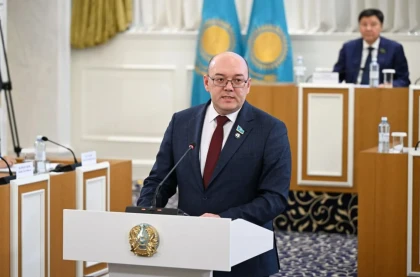 "Шығыны табысынан көп": Депутат Қазақстанда күнкөріс минимумын көтеруді ұсынды