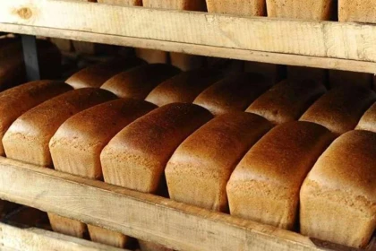 Алматылықтар дүкендерде әлеуметтік "кірпіш" нанның жоқтығына шағымданған: Өндіруші себебін түсіндірді
