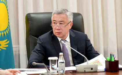 Жабылған 356 мың шағын кәсіп саны салық реформасының тиімділігін көрсетпейді – Серік Жұманғарин