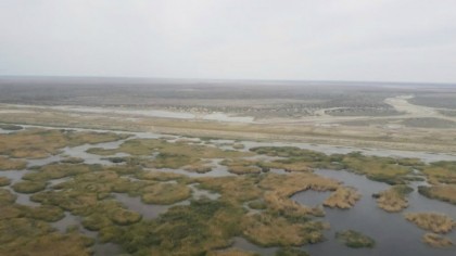 Тұздылығы 15 граммға жетсе балықтар жаппай қырылады: Мәжіліс депутаты Арал теңізінің жағдайы мәз емес деп дабыл қақты