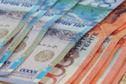 Қазақстанда Ұлттық қордан ең көп қаржыны қай жастағы балалардың алатыны белгілі болды