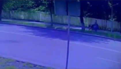 Алматы полициясы жол жиегінде бүлдіршінді қағып кеткен самокатшыны іздестіріп жатыр