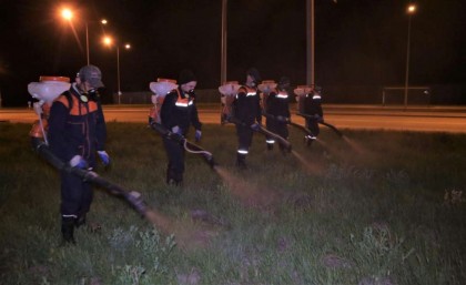 Елордада маса мен шыбын-шіркей санын азайту үшін ашық аумақтарды өңдеу жалғасуда